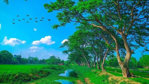 বাংলাদেশের প্রাকৃতিক সৌন্দর্য